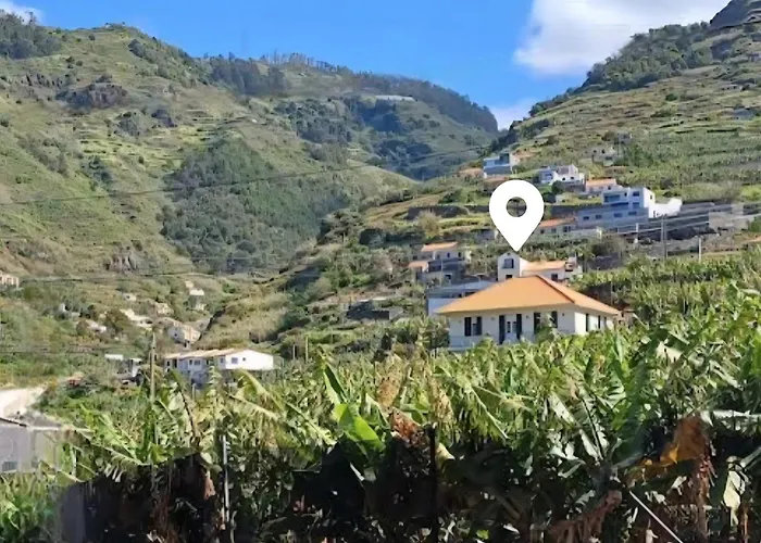 Banana Lovers - Farm View