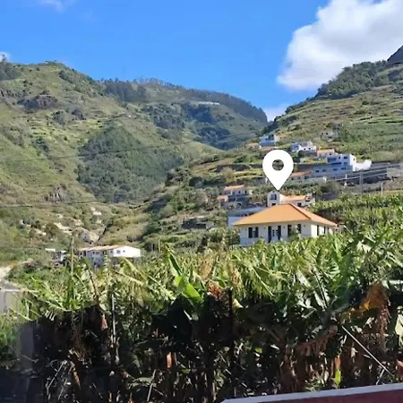 Banana Lovers - Farm View