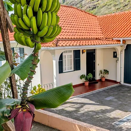 Banana Lovers - Farm View * Ribeira Brava