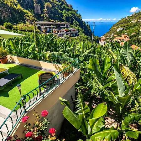 Banana Lovers - Farm View Apartment *