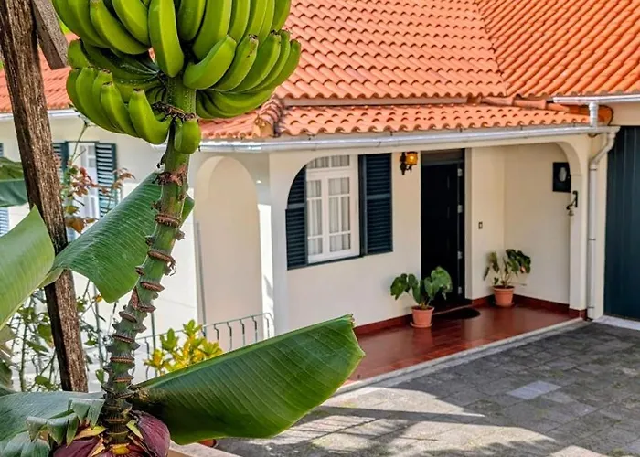 Banana Lovers - Farm View * Ribeira Brava